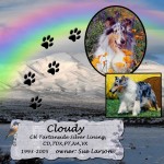 Sue Larson's Cloudy