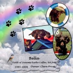 Clare Price's Bella