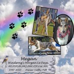 Cathy Toft's Megan